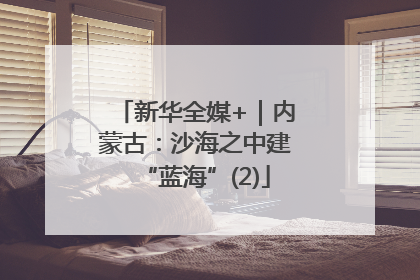 新华全媒+｜内蒙古：沙海之中建“蓝海”(2)