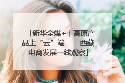 新华全媒+｜高原产品上“云”端——西藏电商发展一线观察