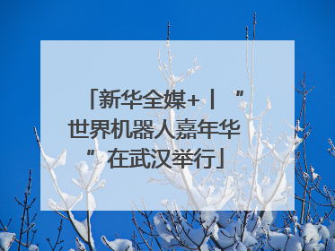 新华全媒+丨“世界机器人嘉年华”在武汉举行