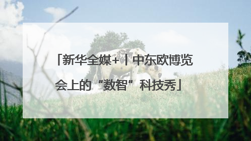 新华全媒+丨中东欧博览会上的“数智”科技秀