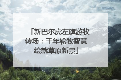 新巴尔虎左旗游牧转场：千年轮牧智慧绘就草原新景