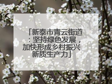 新泰市青云街道：坚持绿色发展，加快形成乡村振兴新质生产力