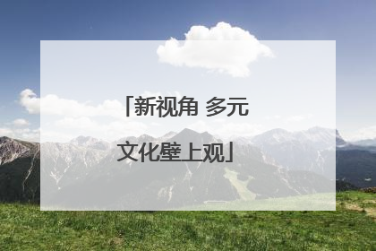 新视角 多元文化壁上观