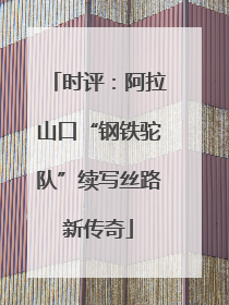 时评：阿拉山口“钢铁驼队”续写丝路新传奇