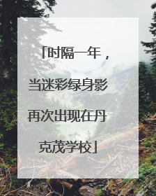 时隔一年，当迷彩绿身影再次出现在丹克茂学校