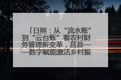 日照：从“流水账”到“云台账”看农村财务管理新变革，莒县——数字赋能激活乡村振兴“一池春水”