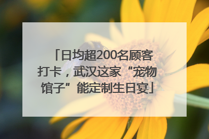 日均超200名顾客打卡，武汉这家“宠物馆子”能定制生日宴