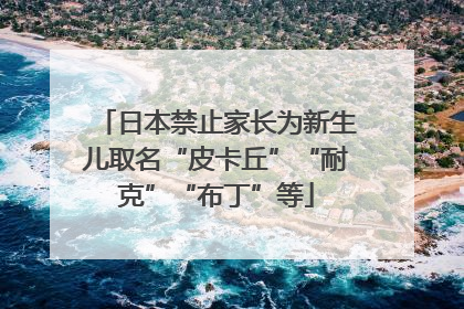 日本禁止家长为新生儿取名“皮卡丘”“耐克”“布丁”等
