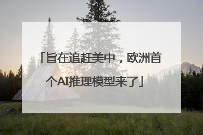 旨在追赶美中，欧洲首个AI推理模型来了