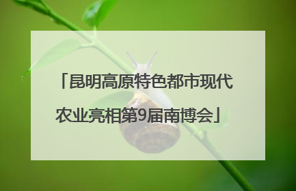 昆明高原特色都市现代农业亮相第9届南博会