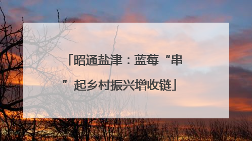 昭通盐津：蓝莓“串”起乡村振兴增收链