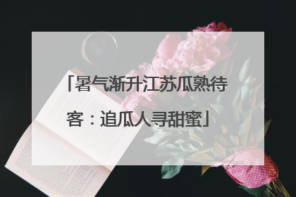 暑气渐升江苏瓜熟待客：追瓜人寻甜蜜