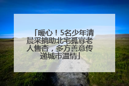 暖心！5名少年清晨采摘助北宅孤寡老人售杏，多方善意传递城市温情