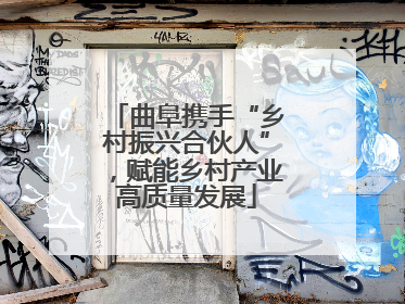 曲阜携手“乡村振兴合伙人”，赋能乡村产业高质量发展