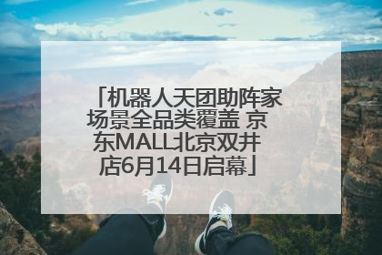 机器人天团助阵家场景全品类覆盖 京东MALL北京双井店6月14日启幕