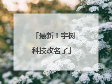 最新！宇树科技改名了