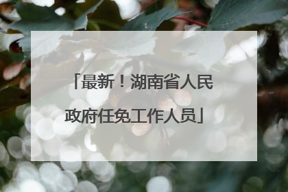 最新！湖南省人民政府任免工作人员