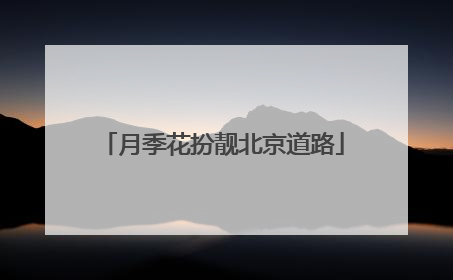 月季花扮靓北京道路