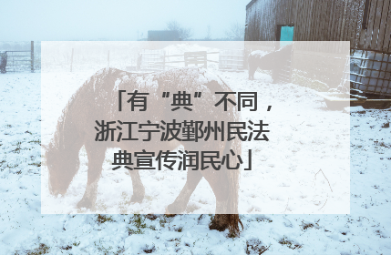 有“典”不同，浙江宁波鄞州民法典宣传润民心