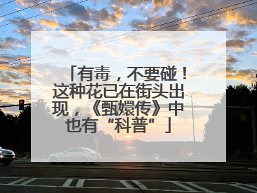 有毒，不要碰！这种花已在街头出现，《甄嬛传》中也有“科普”