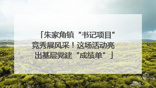 朱家角镇“书记项目”竞秀展风采！这场活动亮出基层党建“成绩单”