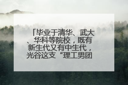 毕业于清华、武大、华科等院校，既有新生代又有中生代，光谷这支“理工男团”为何“出道”？