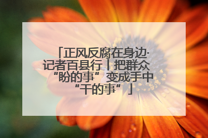 正风反腐在身边·记者百县行丨把群众“盼的事”变成手中“干的事”
