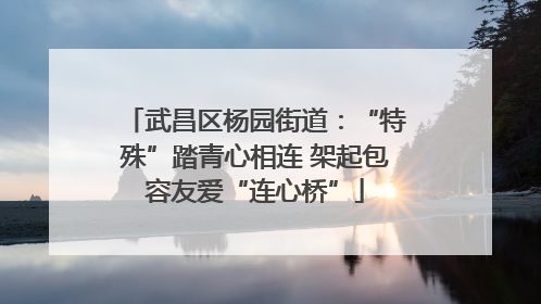 武昌区杨园街道：“特殊”踏青心相连 架起包容友爱“连心桥”