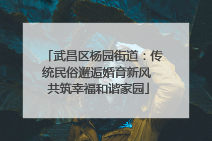 武昌区杨园街道：传统民俗邂逅婚育新风 共筑幸福和谐家园