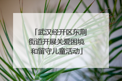 武汉经开区东荆街道开展关爱困境和留守儿童活动