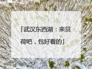 武汉东西湖：来赏荷吧，包好看的