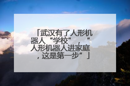 武汉有了人形机器人“学校”，“人形机器人进家庭，这是第一步”