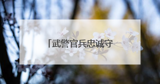 武警官兵忠诚守护，无人机灯光秀挑战吉尼斯世界纪录震撼上演