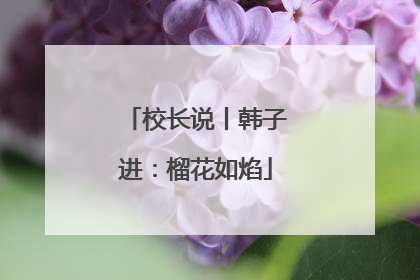 校长说丨韩子进：榴花如焰