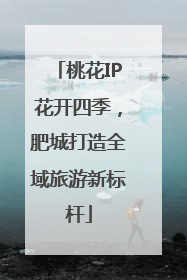 桃花IP花开四季，肥城打造全域旅游新标杆