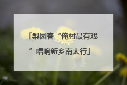 梨园春“俺村最有戏”唱响新乡南太行