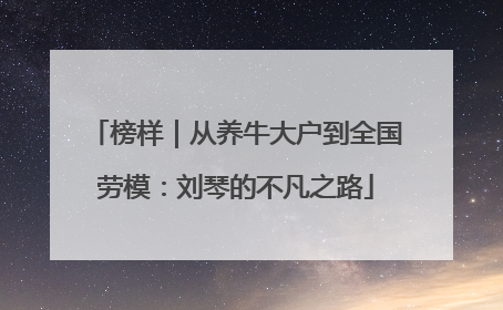 榜样｜从养牛大户到全国劳模：刘琴的不凡之路