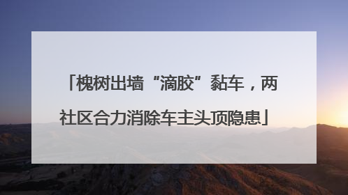 槐树出墙“滴胶”黏车，两社区合力消除车主头顶隐患