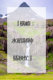 横峰：水稻制种插秧忙