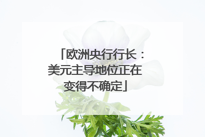 欧洲央行行长：美元主导地位正在变得不确定