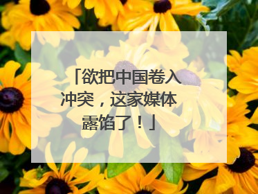 欲把中国卷入冲突，这家媒体露馅了！