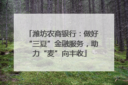 潍坊农商银行：做好“三夏”金融服务，助力“麦”向丰收