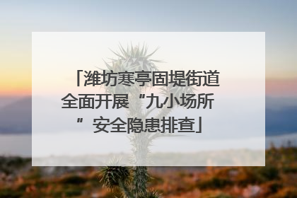 潍坊寒亭固堤街道全面开展“九小场所”安全隐患排查