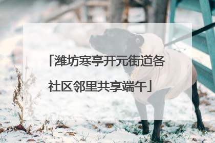 潍坊寒亭开元街道各社区邻里共享端午