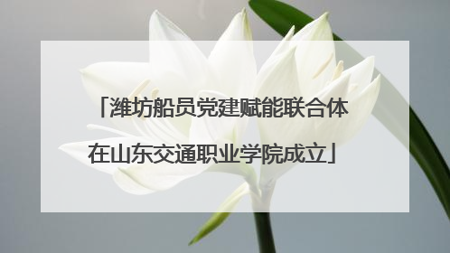 潍坊船员党建赋能联合体在山东交通职业学院成立