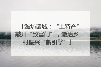潍坊诸城：“土特产”敲开“致富门”，激活乡村振兴“新引擎”