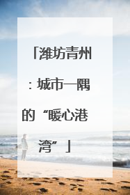 潍坊青州：城市一隅的“暖心港湾”