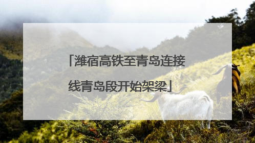 潍宿高铁至青岛连接线青岛段开始架梁