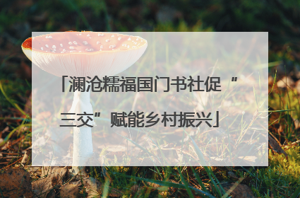 澜沧糯福国门书社促“三交”赋能乡村振兴