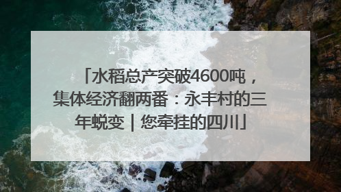 水稻总产突破4600吨，集体经济翻两番：永丰村的三年蜕变｜您牵挂的四川